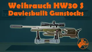 Weihrauch HW30 S with Daviesbuilt Gunstocks stock