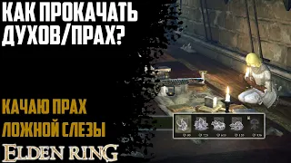 Как прокачать духов/прах? Улучшаем духов в Elden Ring Гайд