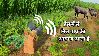 खेत से निल गाय, सुअर और बंदर आदी जानवर ईनकी आवाज से डरेगे | jugad ka jugaad desi jugaad |