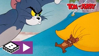 Tom und Jerry | Hängematte | Cartoonito