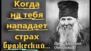 Когда будешь ощущать такой страх и вражеское нападение, то полезно тебе...Старец Амвросий Оптинский