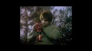 Hulk with a rabbit