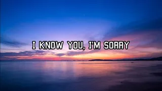 Alan Walker & Isak - Sorry [Lyrics Video]