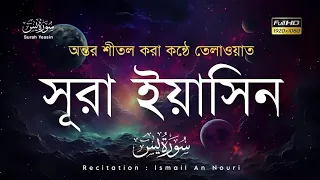 সূরা ইয়াসিন (يٰس)  - মন জুড়ানো তেলাওয়াত | sura yasin bangla | recited by ismail an nouri