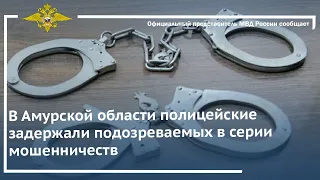 Ирина Волк: В Амурской области полицейские задержали подозреваемых в серии мошенничеств