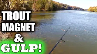 Fall Fishing with Trout Magnets and Gulp Minnows on a Drop Shot Rig