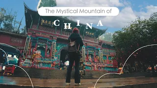 Chengdu Day 3 | Making a friend on a mystical mountain, fiery hotpot, night stroll | 成都 vlog: 青城山