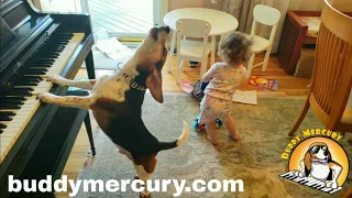 THE MOST AMAZING AND HYSTERICAL VIDEO ON THE INTERNET!!!! Feat. Buddy Mercury Dog and Lil Sis!