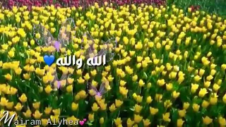 حالات واتس اب اناشيد اسلامية🌸||سامي يوسف حسبي ربي جل الله ،💜🍃الوصف غوالي ⤵⤵