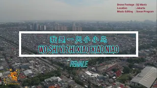 Wo Shi Yi Zhi Xiao Xiao Niao ( 我是一只小小鸟 ) For Female - Karaoke mandarin with drone view