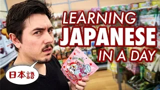 How Much Japanese Can You Learn in a Day?