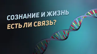 Сознание и жизнь. Есть ли сознание у животных?