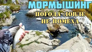 Мормышинг. Ловля плотвы, карася, ельца на микроприманки sport fishing