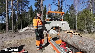 Huomioita tukkivannesahasta kotikäytössä | Metsälehti