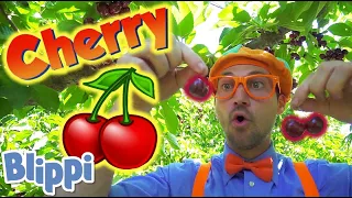 BLIPPI - Learn About Cherries! | ABC 123 Moonbug Kids | Fun Cartoons | Learning Rhymes