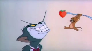 Tom and Jerry The Million Dollar Cat Part 2| توم وجيري