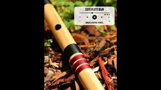 💞Ayyayo Nenju Song BGM💞| Flute BGM | Aadukalam | Instrumental BGM | G.V Prakash Kumar