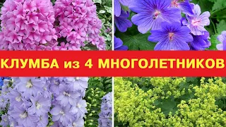 ЦВЕТНИК-КЛУМБА из 4 МНОГОЛЕТНИКОВ для сада