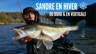Pêche du sandre du bord et en verticale : Un leurre souple polyvalent pour l'Hiver !