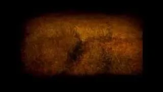 Юркеш - Стеляться тумани (official music video)