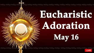 Powerful Eucharistic Adoration I Thursday May 16 2024 I 3.00 Pm