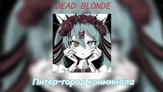 {×DEAD BLONDE:;Питер-город криминала}× песня+караоке|интересный факт:;у меня уже почти 100 звёздочек