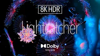 8K HDR Digital Art ｜ Lightcatcher ｜ Dolby Vision™｜ Micro LED | Vision Pro