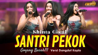 Shinta Gisul - SANTRI PEKOK ( Dangdut Koplo Version )