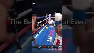 The Best Uppercut of All Time