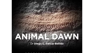 Animal Dawn - Research Tuesday - Presentation