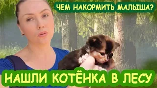 Спасение котенка | Нашли котенка и принесли домой | Реакция детей