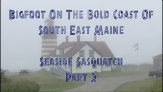 Bigfoot In Maine A Full Length Bigfoot Documentary Part 2