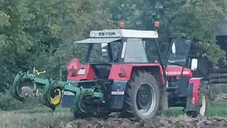 Zetor Crystal 16145 Orba 1