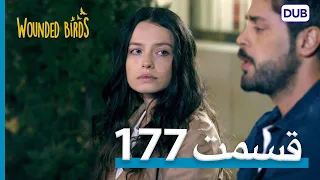 پرندگان زخمی | با دوبلۀ فارسی | قسمت 177 | Wounded Birds Episode 177