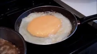 World's Largest Fried Egg!