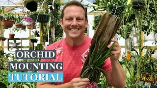 Orchid Mounting TUTORIAL