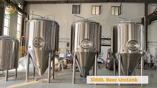 3000L Beer Unitank