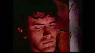 The Evil Dead (1981) - Finale and Ending (Dutch VHS + Herald Videogram LD Mono)