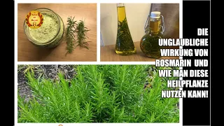 The incredible effects of rosemary and how to use this medicinal plant!