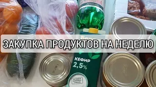 Закупка продуктов / сколько тратим в месяц на еду /  обзор с ценами