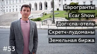 Новости Португалии 53: гранты ЕС, Ecar Show, биржа земли, дог-спа-отель, лудоманы, бикини-стартап