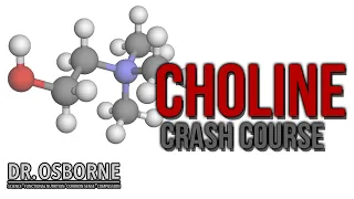 Crash Course on Choline