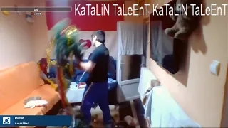 Katalin Talent distruge bradul de Craciun
