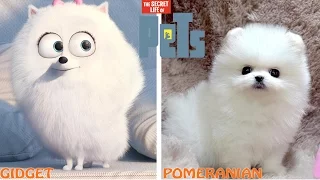 The Secret Life of Pets Characters in Real Life