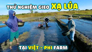 Linh Philip || Thử Nghiệm Gieo Xạ Lúa Giữa Mùa Khô Tại Sa Mạc Châu Phi !!!