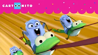 The Bear, The Frog and the Mosquito | Grizzy and the lemmings | Cartoonito