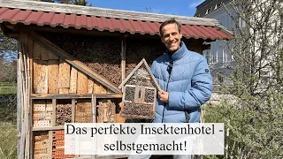 Die BIENEN kommen 🌞 Insektenhotels selber & mit den richtigen Materialien gestalten!