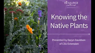 Knowing the Native Plants