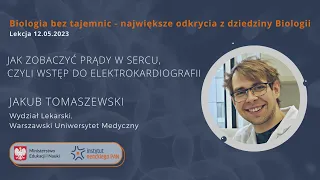 Jak zobaczyć prądy w sercu, czyli wstęp do elektrokardiografii.