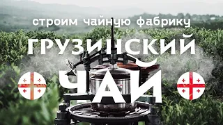 Грузинский чай. Строим чайную фабрику.